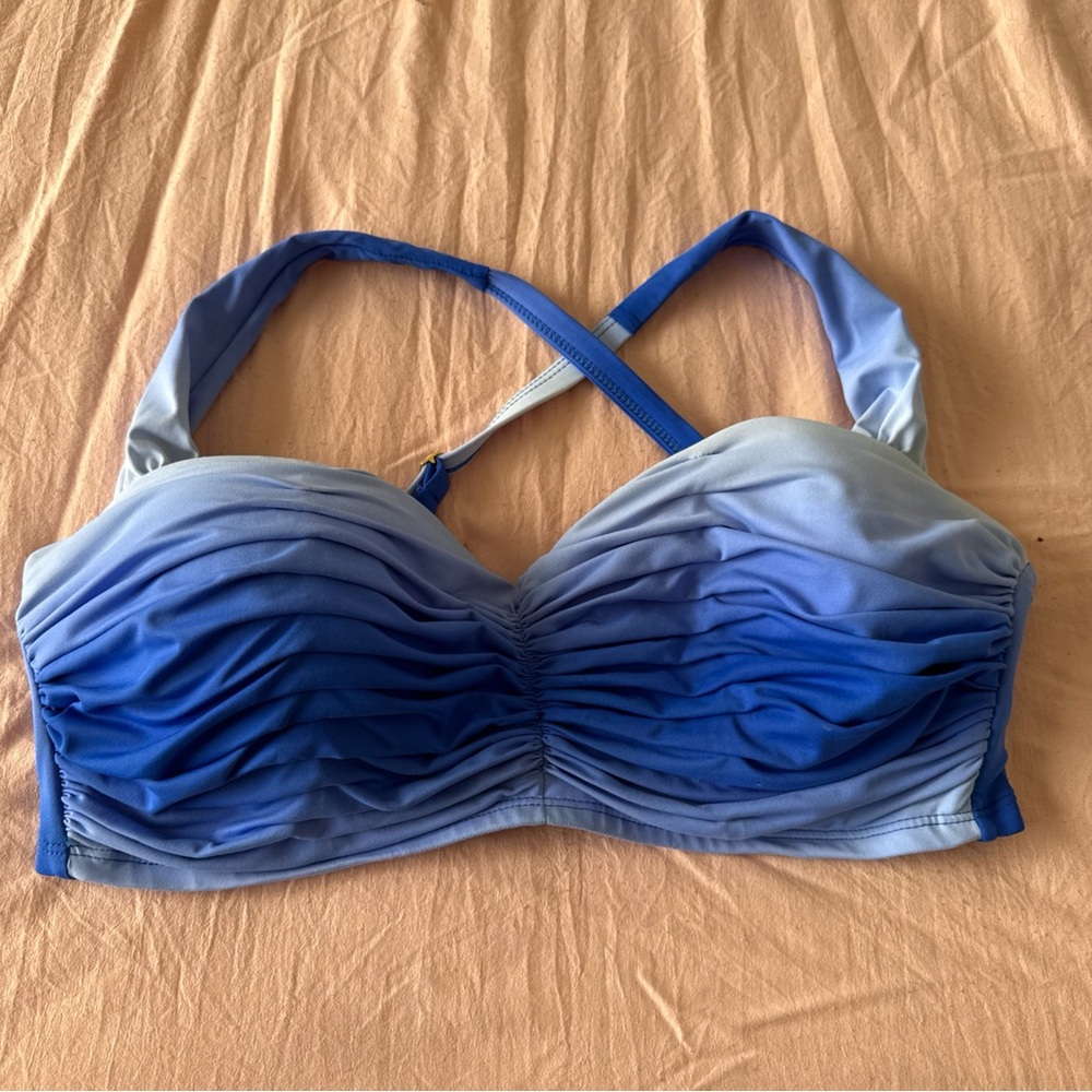 Bleu Rod Beattie Gold Accent Blue Bikini